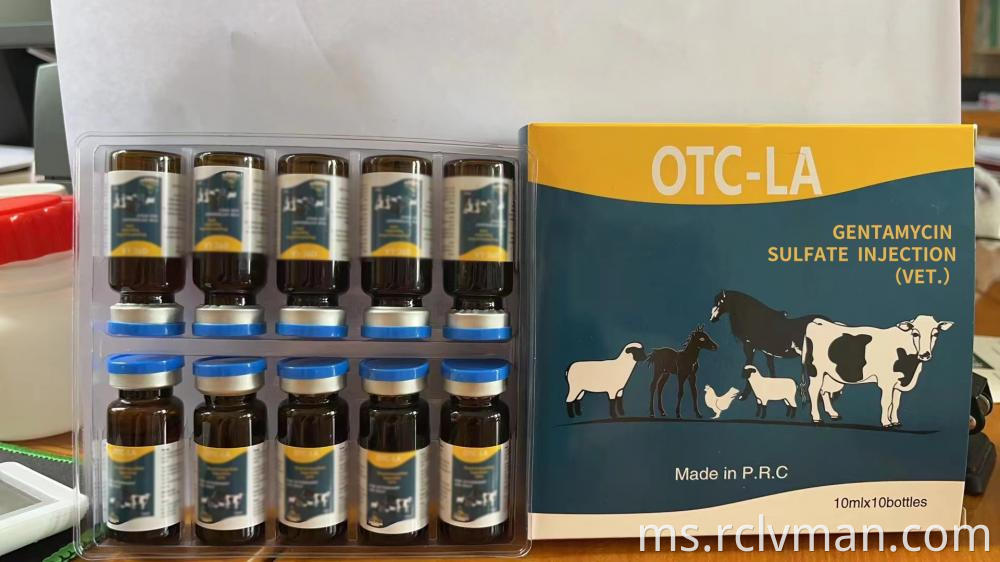 Gentamycin Sulfate Injection 2